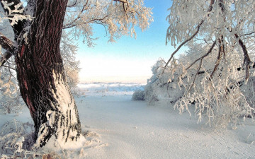 Картинка природа зима снег сугробы