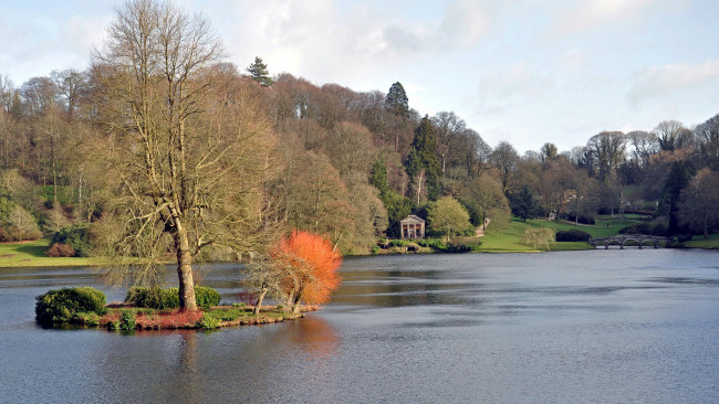 Обои картинки фото природа, парк, весна, деревья, островок, озеро, мостик