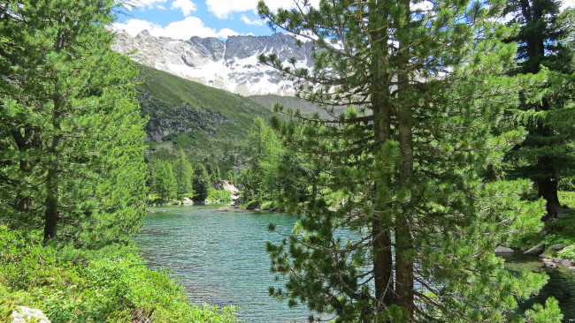 Обои картинки фото природа, реки, озера, лес, река, горы