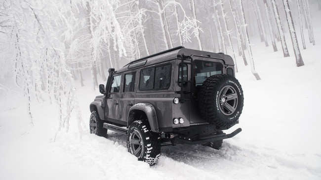 Обои картинки фото ares design land rover defender 110 , 2018, автомобили, land-rover, ares, design, land, rover, defender, 110, тюнинг, снег, лес, ленд, ровер