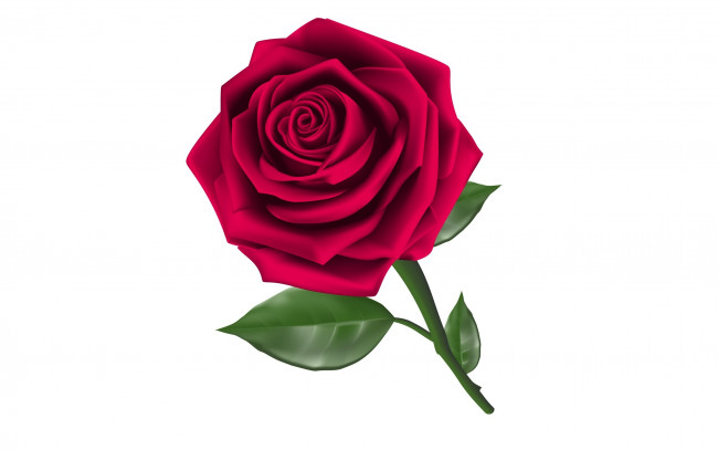 Обои картинки фото векторная графика, цветы , flowers, фон, цветы, роза