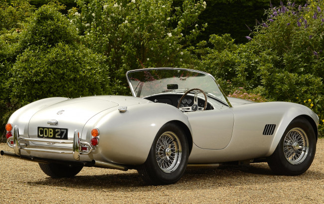 Обои картинки фото ac cobra 289 roadster mkiii 1966, автомобили, ac cobra, shelby, mkiii, roadster, 289, cobra, ac, 1966