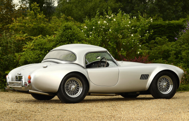 Обои картинки фото ac cobra 289 roadster mkiii 1966, автомобили, ac cobra, shelby, ac, 1966, mkiii, roadster, 289, cobra