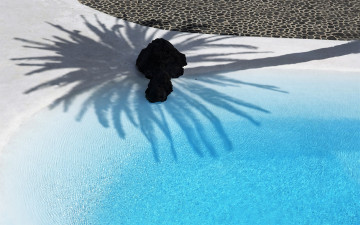 Картинка природа тропики отражение камни море