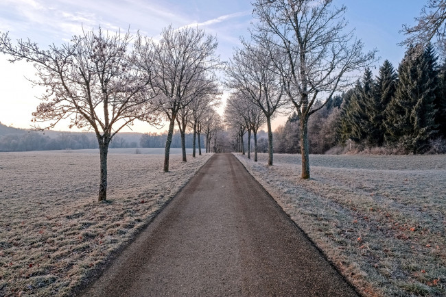 Обои картинки фото природа, дороги, дорога, деревья