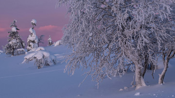 Картинка природа зима снег сугробы