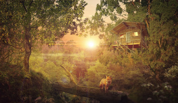 Картинка разное компьютерный+дизайн фон лес лиса дом