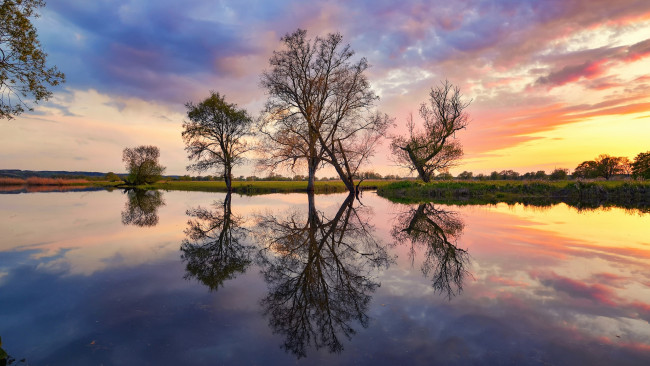 Обои картинки фото природа, реки, озера, река, одра, польша