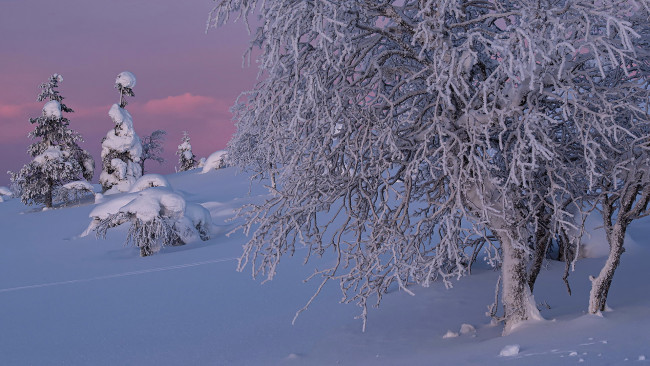 Обои картинки фото природа, зима, снег, сугробы