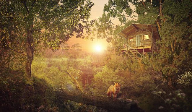 Обои картинки фото разное, компьютерный дизайн, фон, лес, лиса, дом