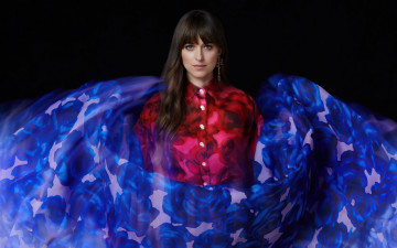 Картинка девушки dakota+johnson шатенка блузка ткань