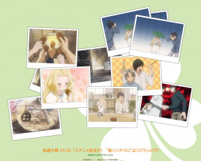 Картинка аниме honey and clover