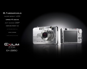 Картинка бренды exilim