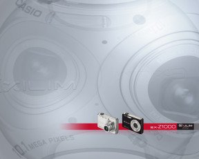 Картинка бренды exilim