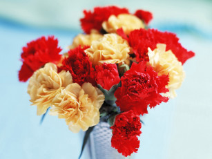 Картинка цветы гвоздики