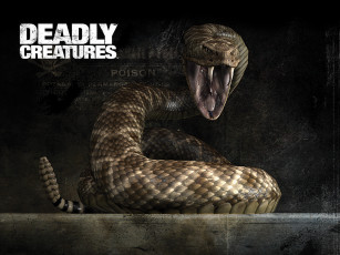 Картинка deadly creatures видео игры