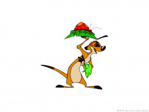 Картинка мультфильмы the lion king