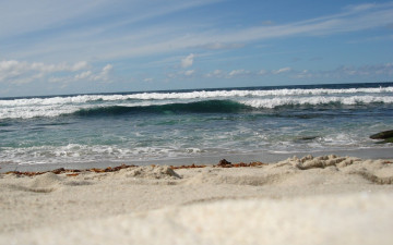 Картинка природа