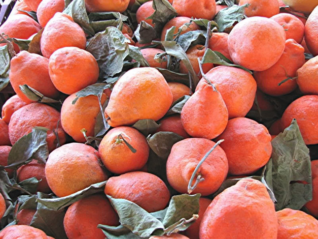 Обои картинки фото еда, груши