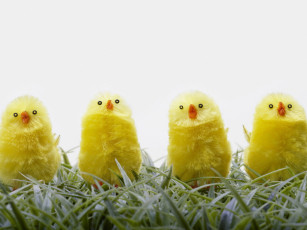 Картинка разное игрушки