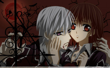 Картинка аниме vampire knight