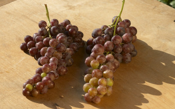 Картинка еда виноград