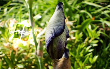 Картинка компьютеры windows