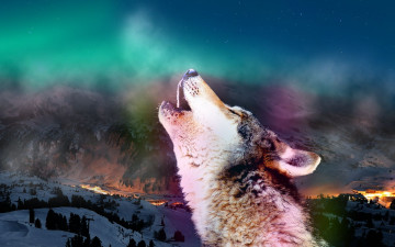 Картинка животные волки