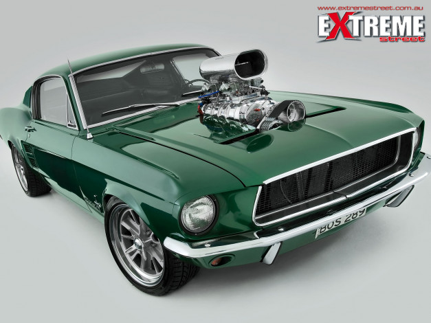 Обои картинки фото автомобили, mustang