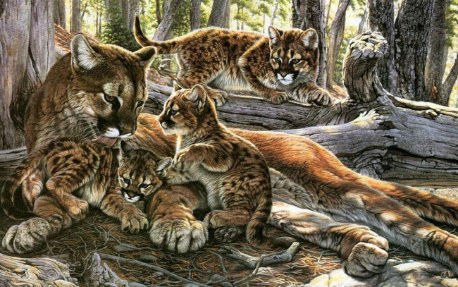 Обои картинки фото рисованные, животные