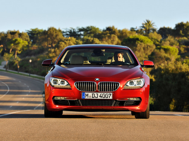 Обои картинки фото автомобили, bmw, coupe