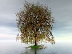 Картинка 3д графика sea undersea море дерево