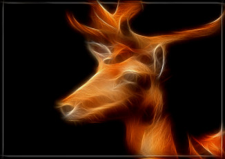 Картинка 3д графика animals животные олень фрактал