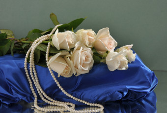 Картинка цветы розы жемчуг