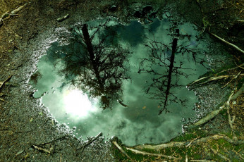 Картинка природа другое отражение