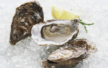 Картинка еда рыба морепродукты суши роллы