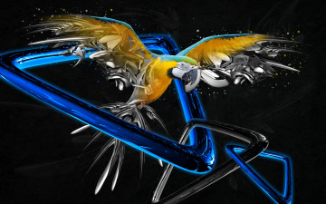 Картинка разное компьютерный дизайн попугай