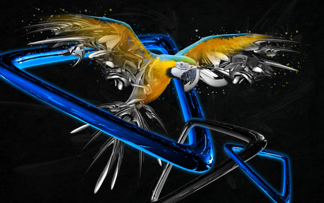 Обои картинки фото разное, компьютерный, дизайн, попугай