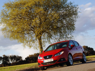 Картинка 2008 seat ibiza автомобили