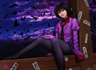 Картинка аниме bakemonogatari птицы ночь школьница art ebi девушка oshino ougi взгляд улыбка поза