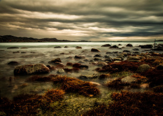 Картинка природа реки озера трава сумрак тучи озеро камни