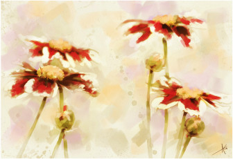 Картинка рисованные цветы фон космея