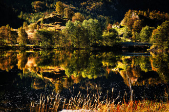 Картинка природа реки озера отражение река лес