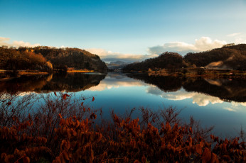 Картинка природа реки озера простор кусты леса горы