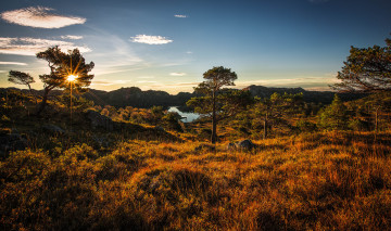 Картинка природа восходы закаты трава деревья река свет солнце