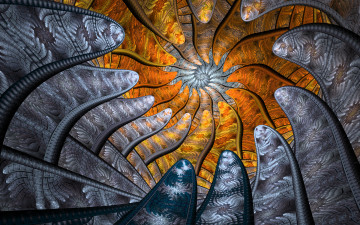 Картинка 3д+графика fractal+ фракталы фон цвета узор