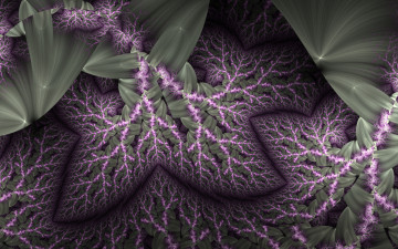 Картинка 3д+графика fractal+ фракталы фон цвета узор