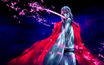 Картинка аниме bleach блич арт бьякуя кучики занпакто парень капитан