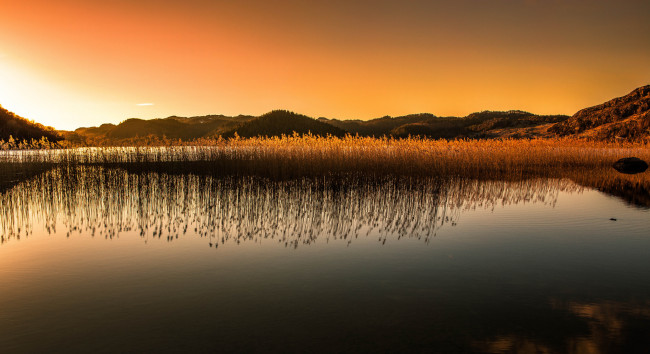 Обои картинки фото природа, реки, озера, заря, ткамыш, озеро