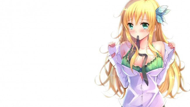 Обои картинки фото boku wa tomodachi ga sukunai, аниме, kashiwazaki, sena, anime, грудь, boku, wa, tomodachi, ga, sukunai